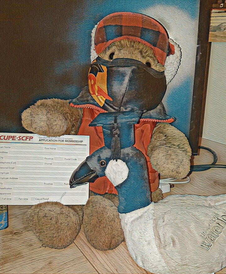 Stuffed beaver in a red puffy winter coat, red and black checkered 'Canadian' hat with fur flaps, and black mask with OrganizeUW 'Gizmo the Goose' logo. Next to him is a UW-branded goose plush toy with small grad cap-shaped ring box hat. Beaver is holding a CUPE card in his paw and the goose is looking at it.