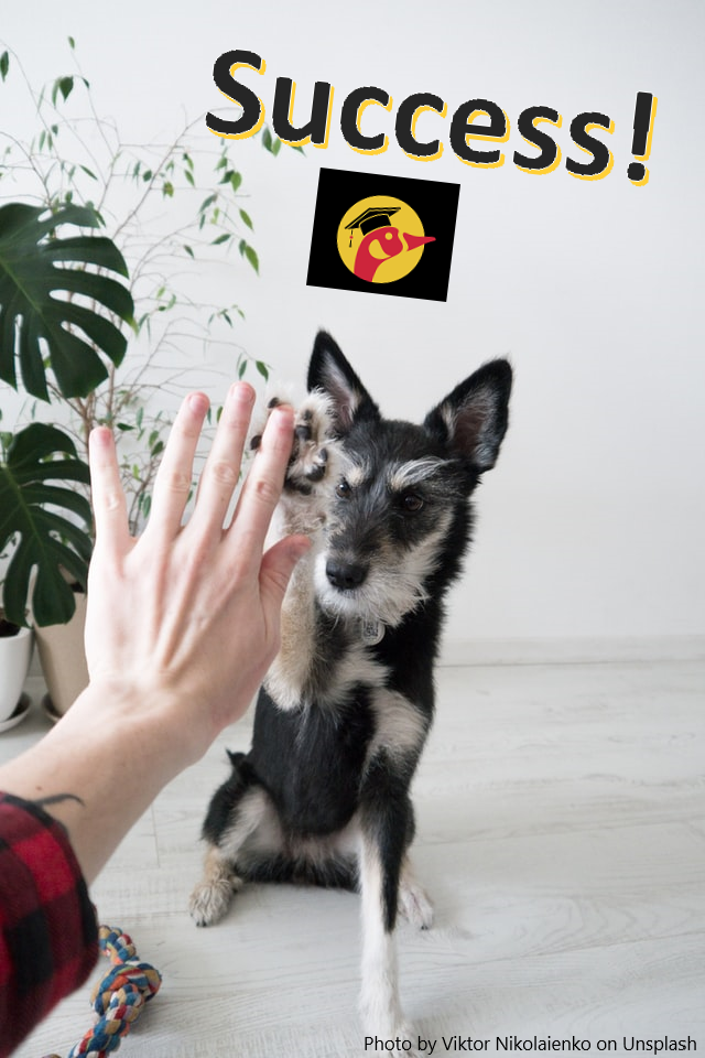 photo of a cute dog “high-fiving” a human's hand. Text above says “Success!” with OUW Gizmo the Goose logo underneath. Small text bottom right says “Photo by Viktor Nikolaienko on Unsplash”
